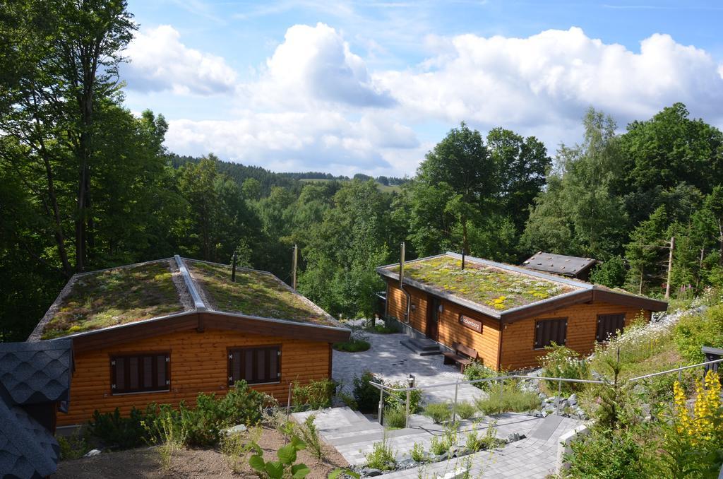 Landhaeuser Bergwiese Sankt Andreasberg Exterior photo